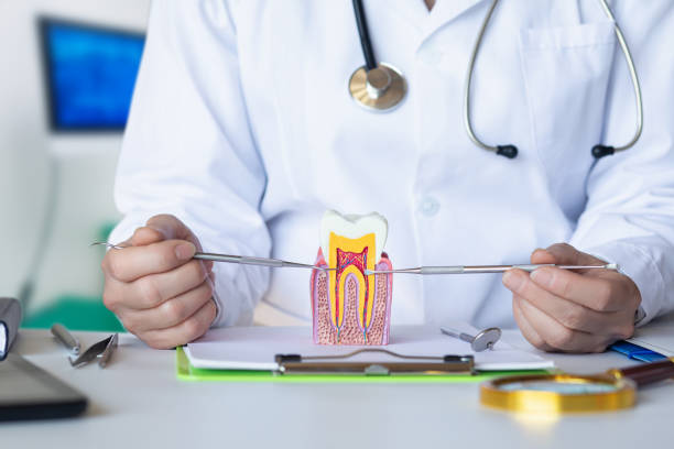 Best Dental Abscess Treatment in Mcconnell Af, KS